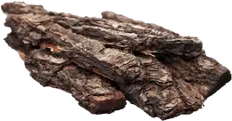 Oud